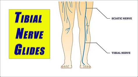 triple compression test|posterior tibial nerve entrapment symptoms.